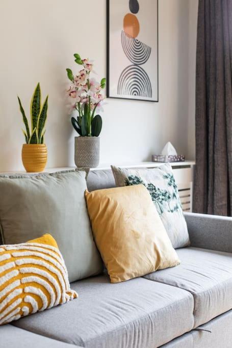 Best City Centre Luxurious Home Free Parking Belfast Zewnętrze zdjęcie